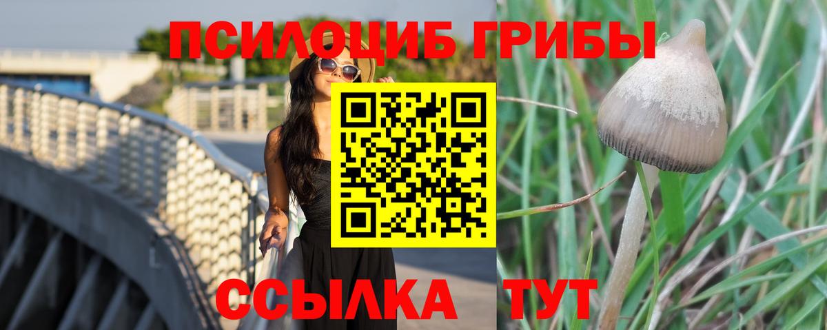 Псилоцибиновые грибы ЛСД Димитровград
