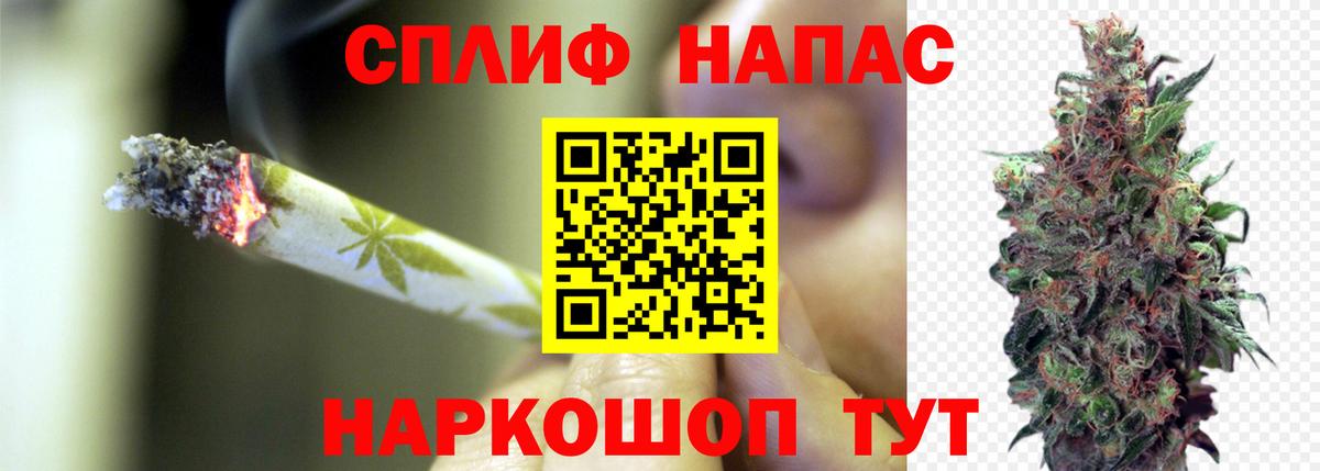 Шишки марихуана индика  Вход с VPN  Димитровград  Бошки марихуана Amnesia  Марихуана сатива 